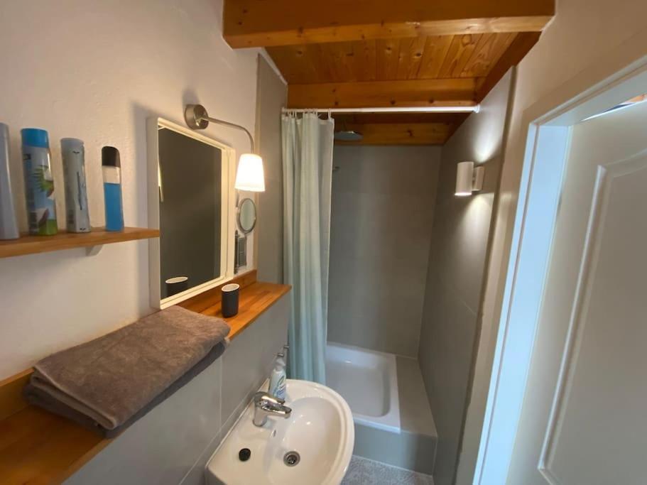 Brühl Apartment Wilhelmstr Fuer Bis Zu 3 Personen מראה חיצוני תמונה